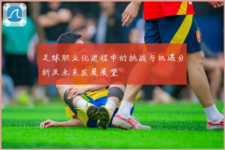 足球职业化进程中的挑战与机遇分析及未来发展展望