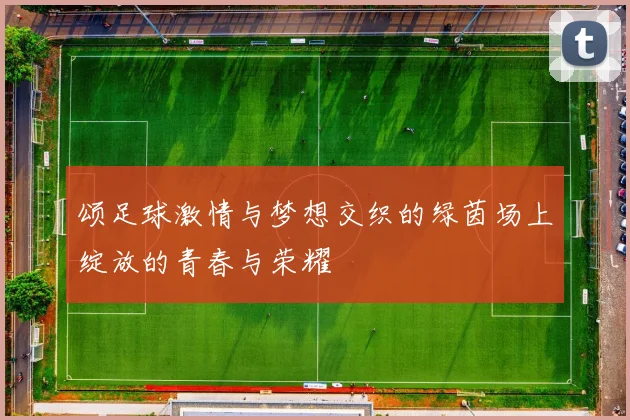 颂足球激情与梦想交织的绿茵场上绽放的青春与荣耀